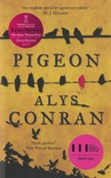 Pigeon Conran Alys