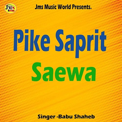 Pike Saprit Saewa Vivek Vikash and Babu Saheb