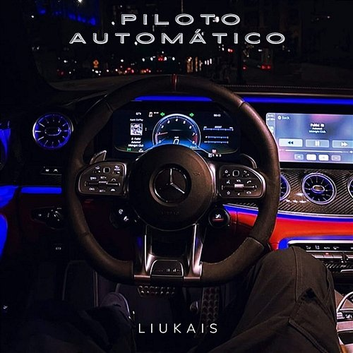 Piloto Automático Liukais