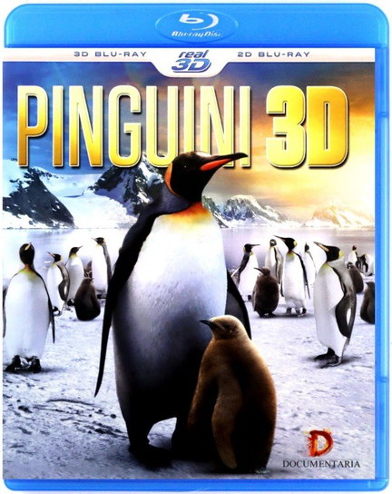 Pinguini 3D Various Directors