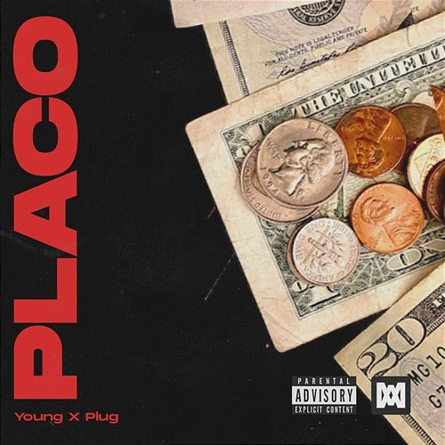Placo Young X Plug