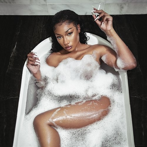 Plan B Megan Thee Stallion