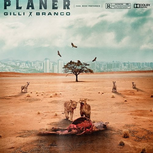 Planer Branco, Gilli