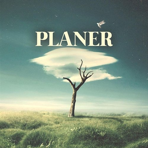 Planer Jaymax