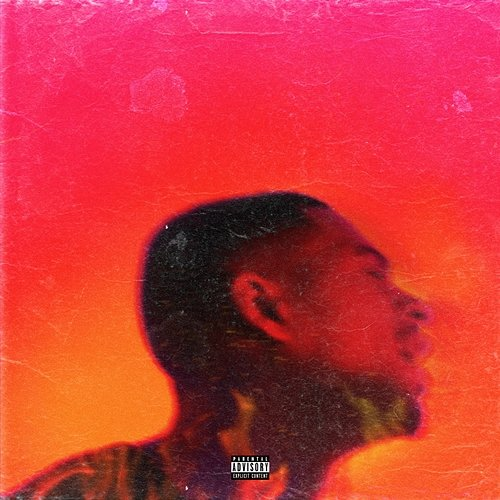 Platinum Fire Arin Ray