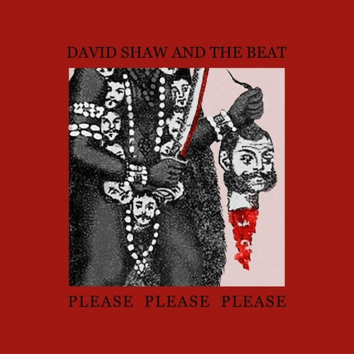 Please Please Please David Shaw, The Beat