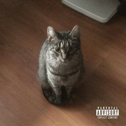 Poes Luca St