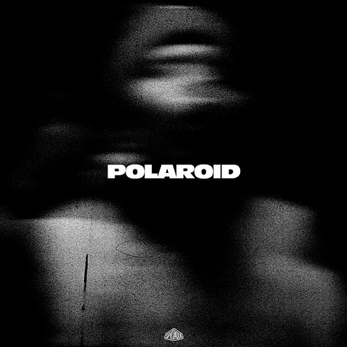 Polaroïd Momsii
