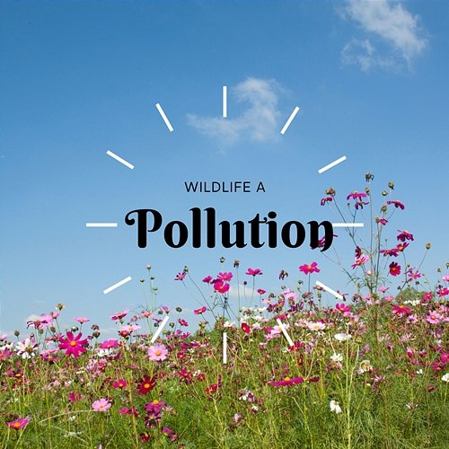 Pollution Wildlife A