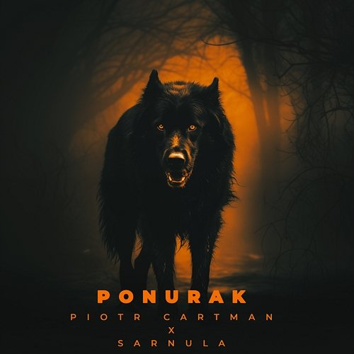 Ponurak Sarnula, Piotr Cartman