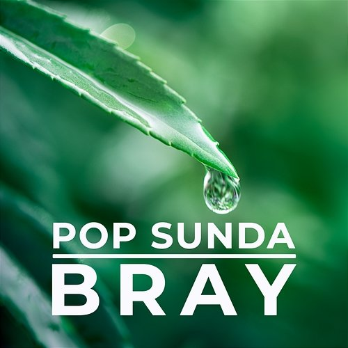 Pop Sunda Bray Nova Mardiana