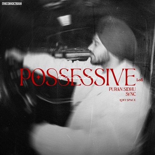 Possessive Puran Sidhu, Sync & Lofi Space