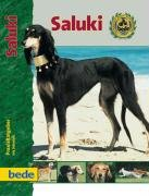PraxisRatgeber Saluki Schmidt Iris