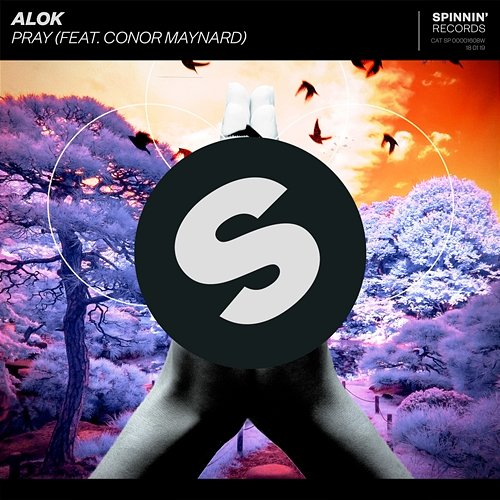 Pray Alok feat. Conor Maynard