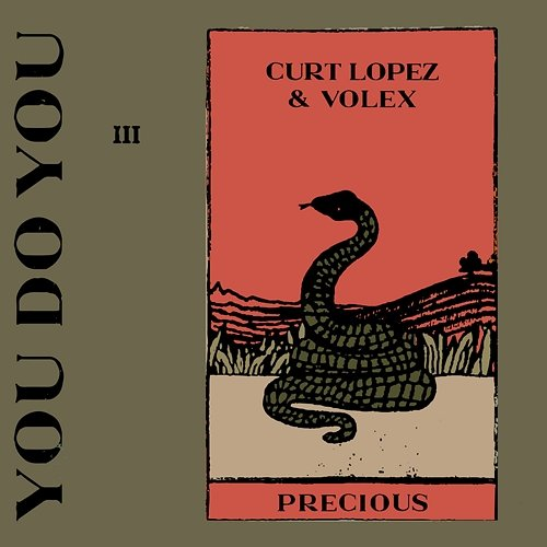 Precious Curt Lopez, VOLEX