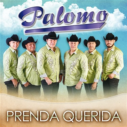 Prenda Querida Palomo