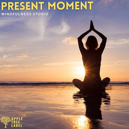 Present Moment Mindfulness Studio