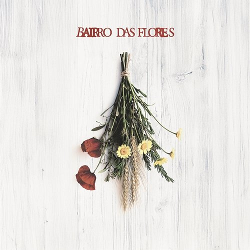 Primavera Bandidos do Cante, António Zambujo