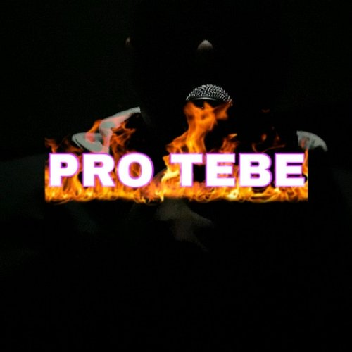 Pro tebe Nico Benz