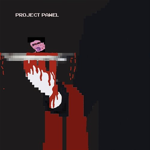 PROJECT PAWEL PabLo S