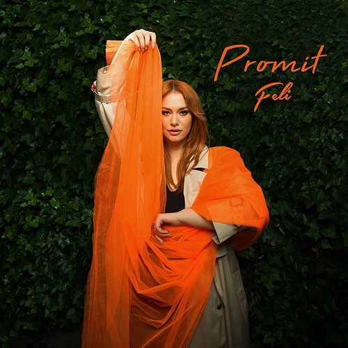 Promit Feli