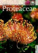 Proteaceae Grams Andreas Julius