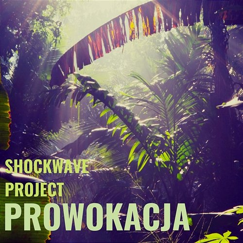 Prowokacja Shockwave