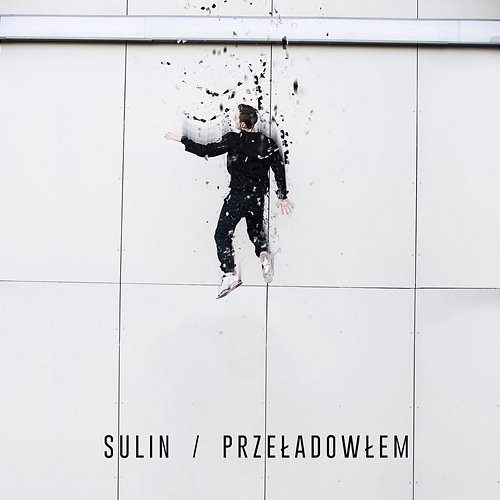 Przeładowałem Sulin