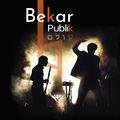 Publik Bekar