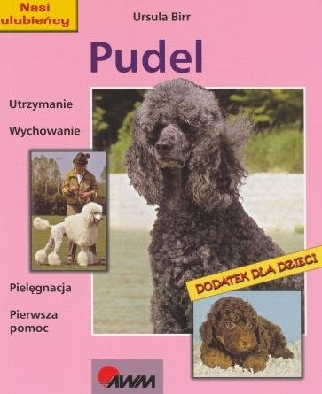 Pudel Birr Ursula
