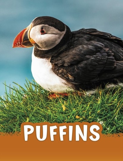 Puffins Jaclyn Jaycox