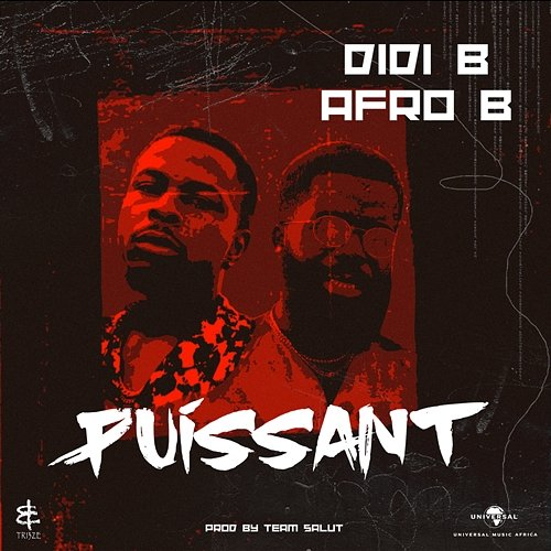 Puissant Didi B, Afro B