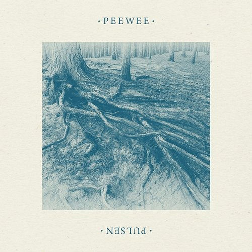 Pulsen PeeWee