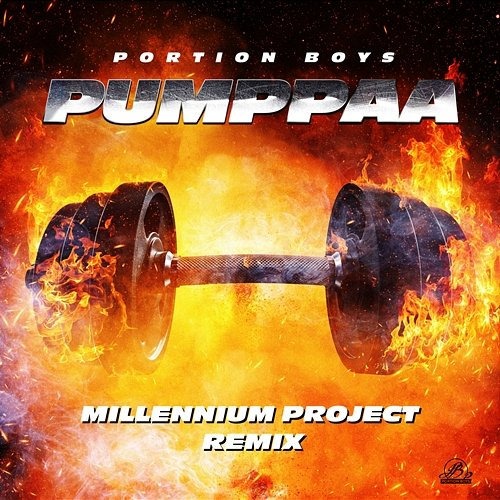 Pumppaa Portion Boys, Millennium project