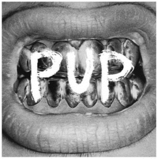 Pup Pup