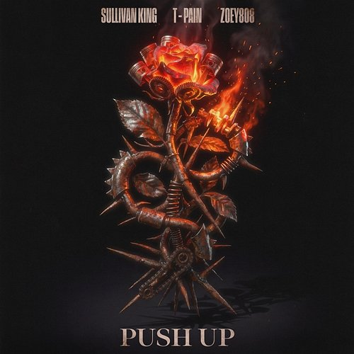 Push up Sullivan King, T-Pain, Zoey808