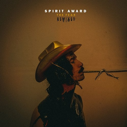 Pushing Forward Spirit Award