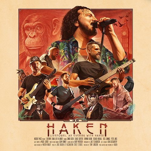 Puzzle Box Haken