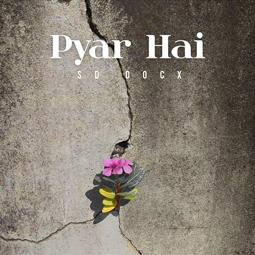 Pyar Hai SD Docx