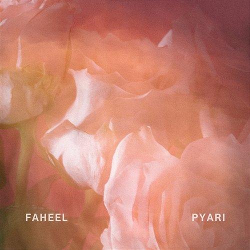 Pyari FAHEEL