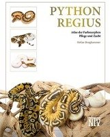 Python regius Broghammer Stefan
