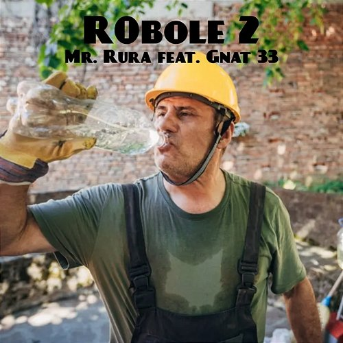 R0bole 2 Mr. Rura, Gnat 33