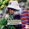 Raggaman BRBCK, Ungula, Młody Mem