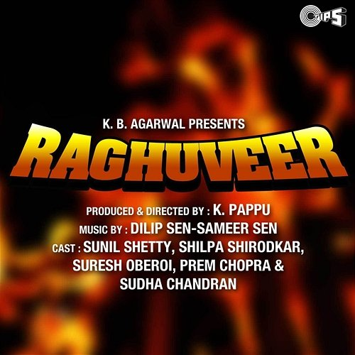 Raghuveer Dilip Sen-Sameer Sen