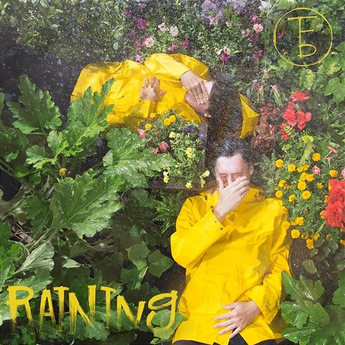 Raining The Front Bottoms