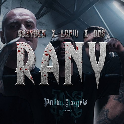 Rany GRZYBEK OFICJALNIE, Loniu, DNS