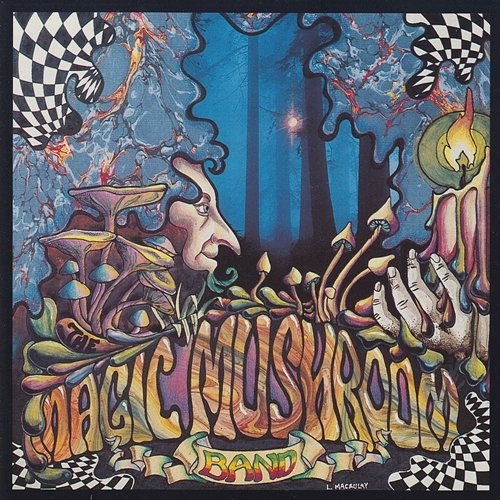 Re-Hash Magic Mushroom Band