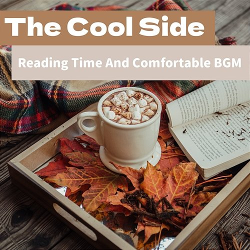 Reading Time and Comfortable Bgm The Cool Side