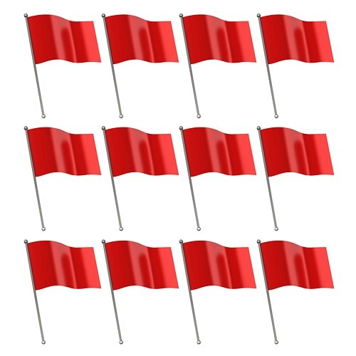 Red Flag CJ
