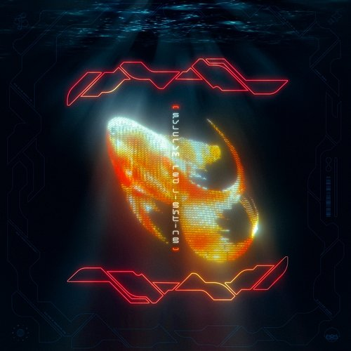 Red Lighting FVLCRVM